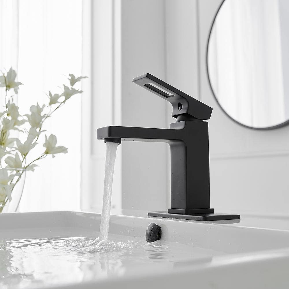 Matte Black Single-Handle Bathroom Faucet with Drain Assembly