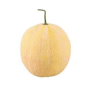 Artificial Real Touch Cantaloupe