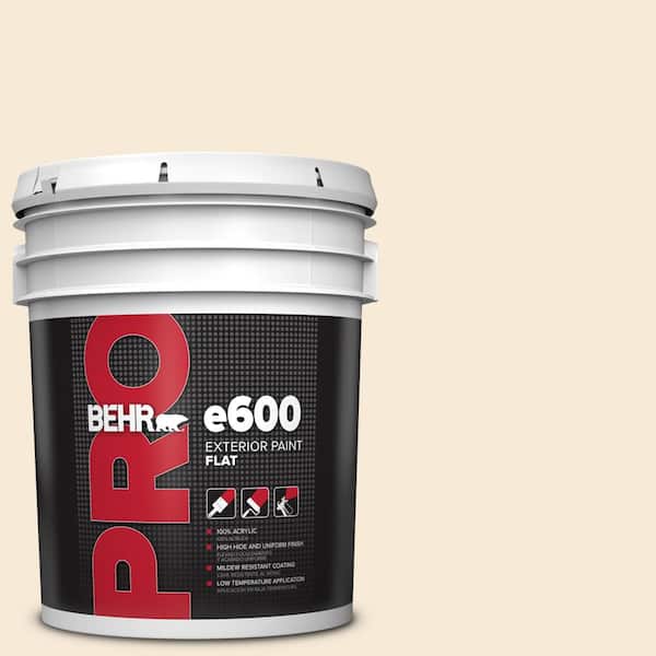 5 gal. #13 Cottage White Flat Exterior Paint