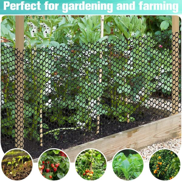 Laybus 0.3 in. x 15.7 in. x 10 ft. Plastic Mesh, Opening Plastic