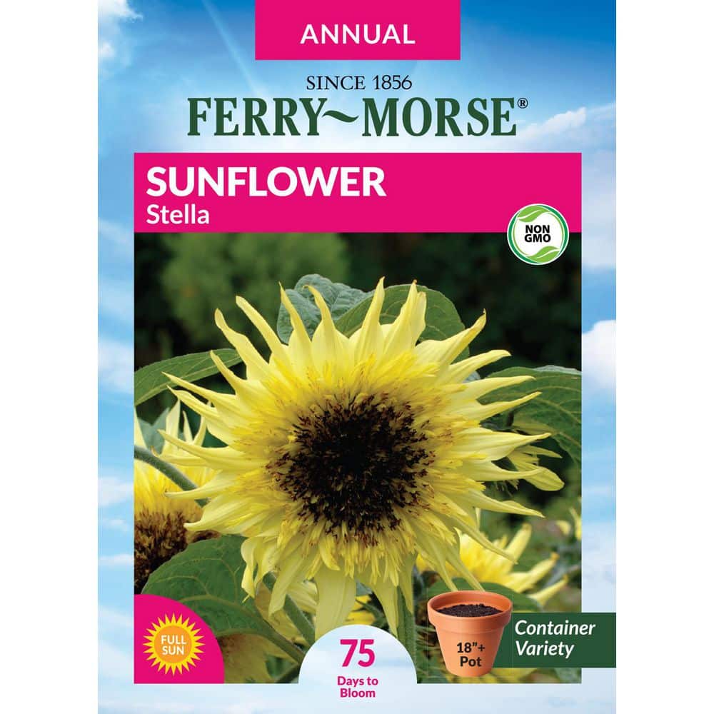 Ferry-Morse Sunflower Stella Flower Seeds 1858 - The Home Depot
