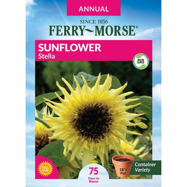 Ferry-Morse Sunflower Stella Flower Seeds 1858 - The Home Depot