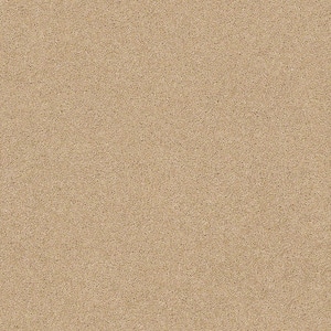 Coral Reef II - Buttercup - Brown 93.6 oz. Nylon Texture Installed Carpet