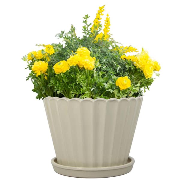 12 in. W x 8.8 in. H Fluted Scallop Ceramic Decorative Planter, Cream