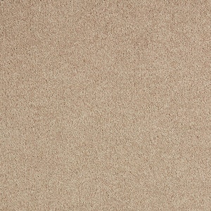 Gemini I  - Honeycomb - Beige 38 oz. Polyester Texture Installed Carpet