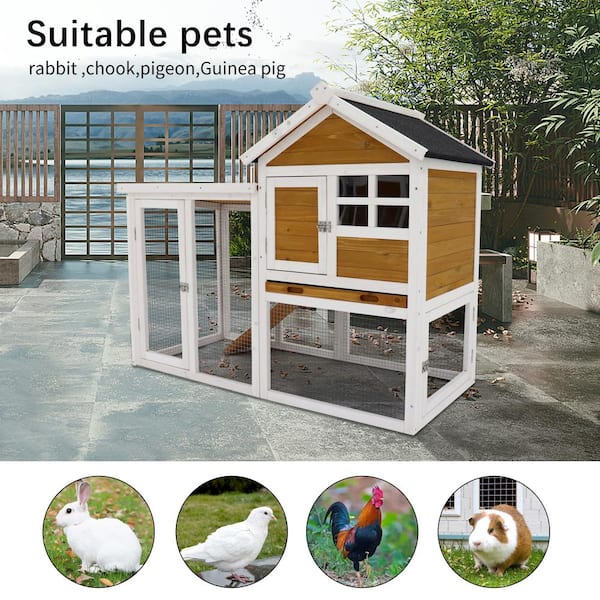 Guinea pig outlet cages chicken coop