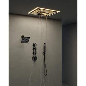 17-Spray 16 in. and 6 in. LED Music Ceiling Mount Dual Shower Head Fixed and Handheld Shower in Matte Black