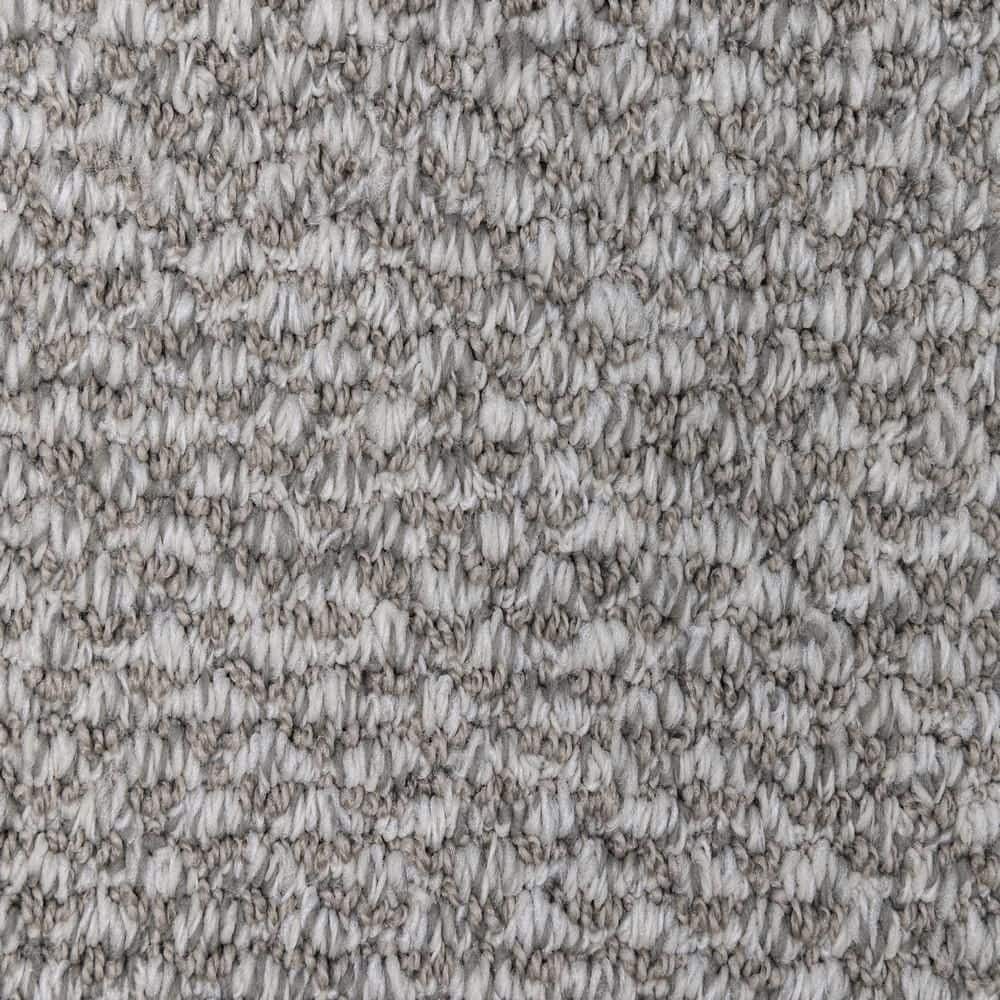 8 in. x  8 in. Loop Carpet Sample - Dark Paradise -Color Eden price history on PriceWatchPro
