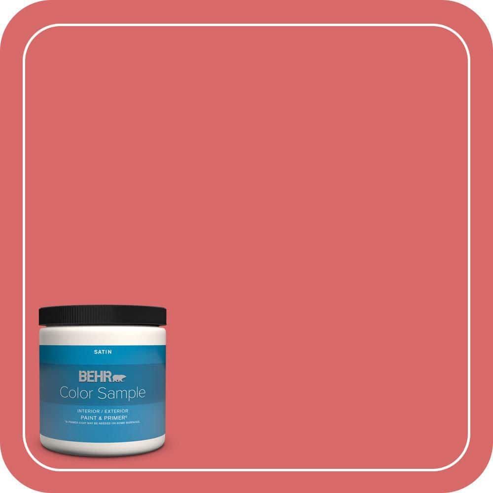 8 oz. #160B-6 Coral Expression Satin Enamel Interior/Exterior Paint & Primer Color Sample price history on PriceWatchPro