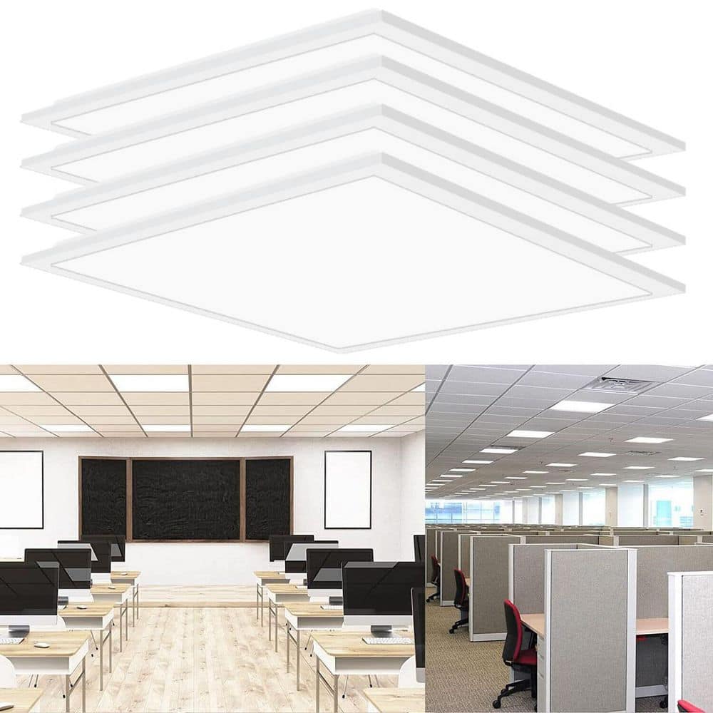 white-koaoeirs-panel-and-