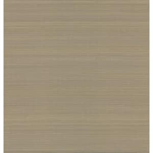 Taupe Abaca Weave Paper Unpasted Matte Wallpaper (36 in. x 24 ft.)