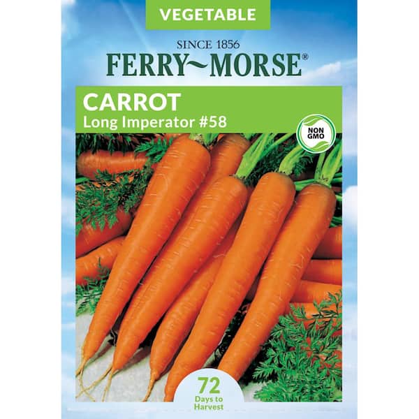 #58 Carrot Long Imperator Seed