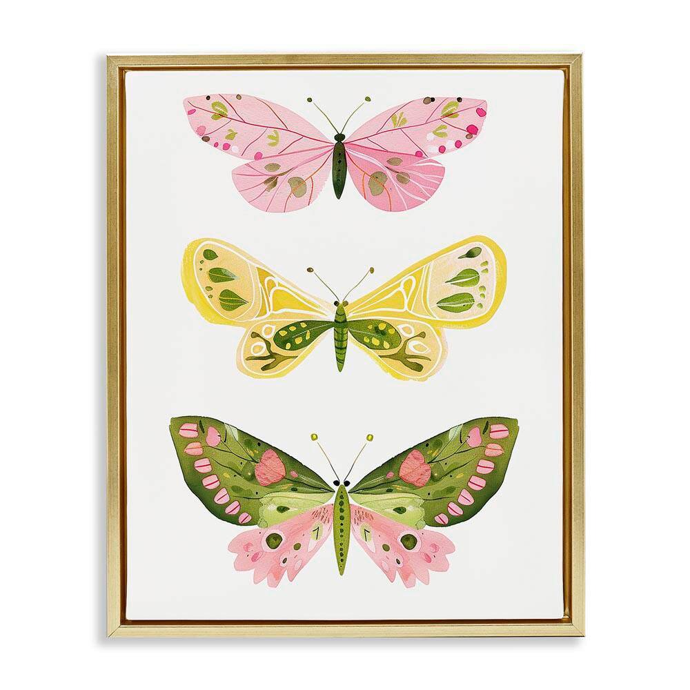 Pastel Butterfly Trio by LSR Design Studio Gold Floater Frame Animal Graphic Art Print 31 in. x 25 in. price history on PriceWatchPro