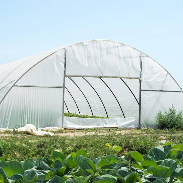 Greenhouse Plastic Sheeting 25 ft. x 25 ft. 6 Mil Thickness Clear Greenhouse Film Polyethylene Film 4-Year UV Resistant