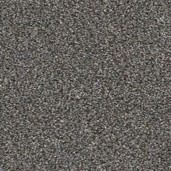 Home Decorators Collection 8 in. x 8 in. Texture Carpet Sample - Fall ...