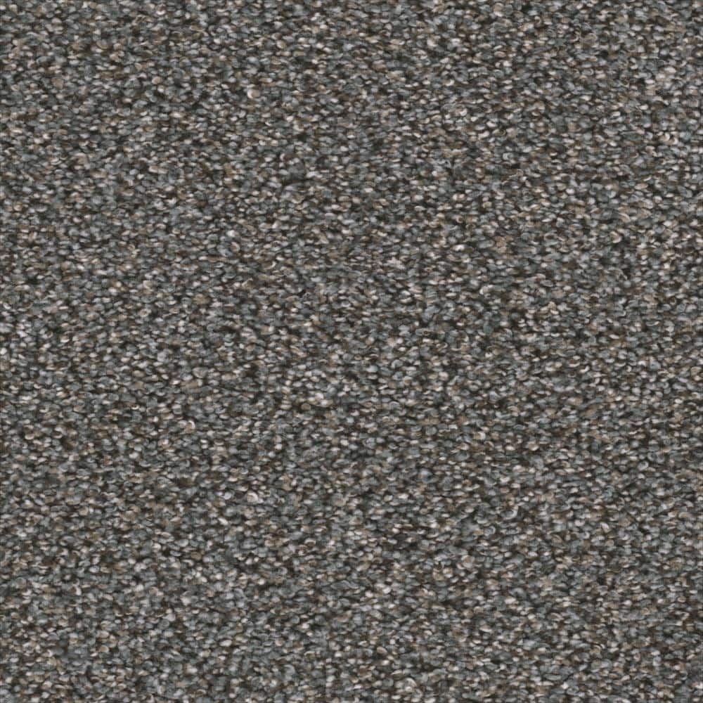 8 in. x  8 in. Texture Carpet Sample - Fall Skies II -Color Hayride price history on PriceWatchPro