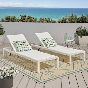 Anky 2-Piece Aluminum Outdoor Chaise Lounge Chair Set, Reclining Chair with Adjustable Backrest