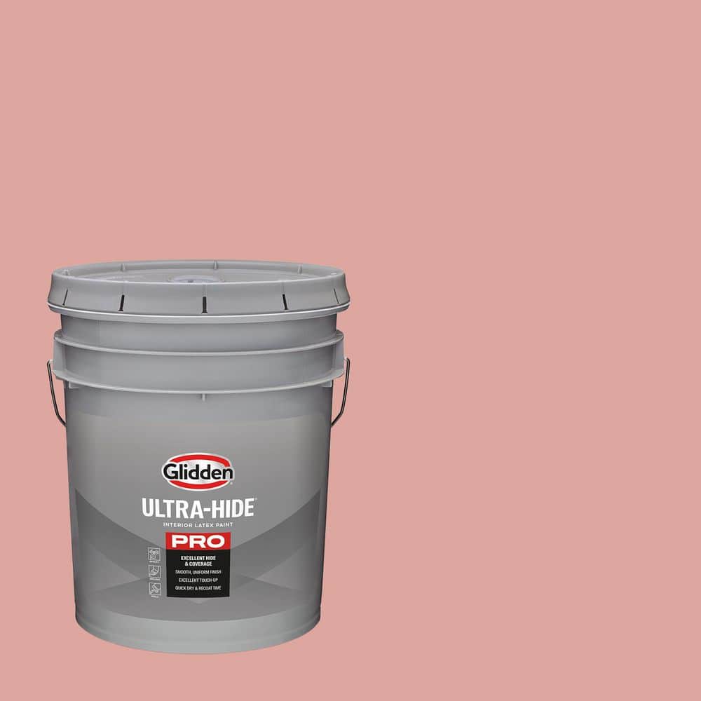 5 gal. PPG1057-4 Coral Cove Semi-Gloss Interior Paint price history on PriceWatchPro