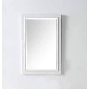 30 in. x 20 in. Framed Wall Mirror in White