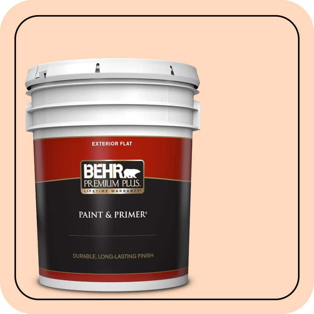 5 gal. #270C-2 Shrimp Cocktail Flat Exterior Paint & Primer price history on PriceWatchPro