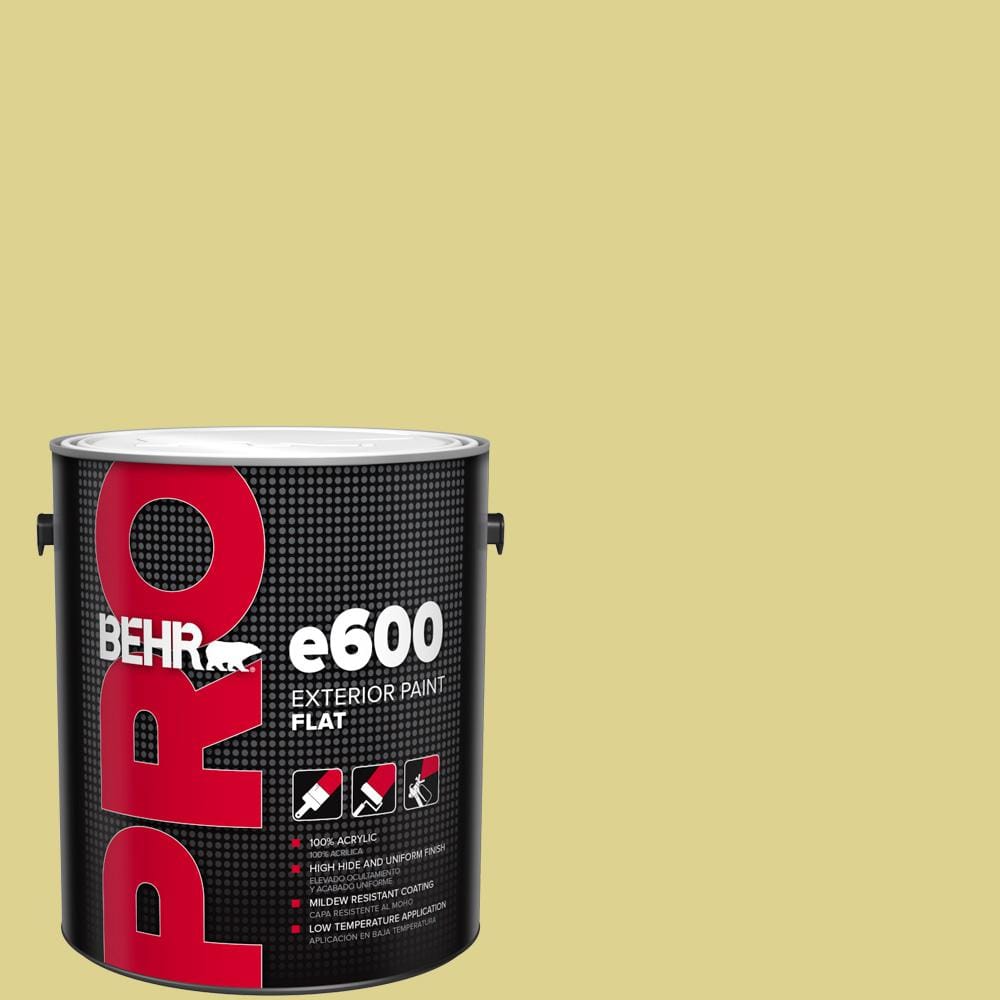1 gal. #T17-16 That's My Lime Flat Exterior Paint price history on PriceWatchPro