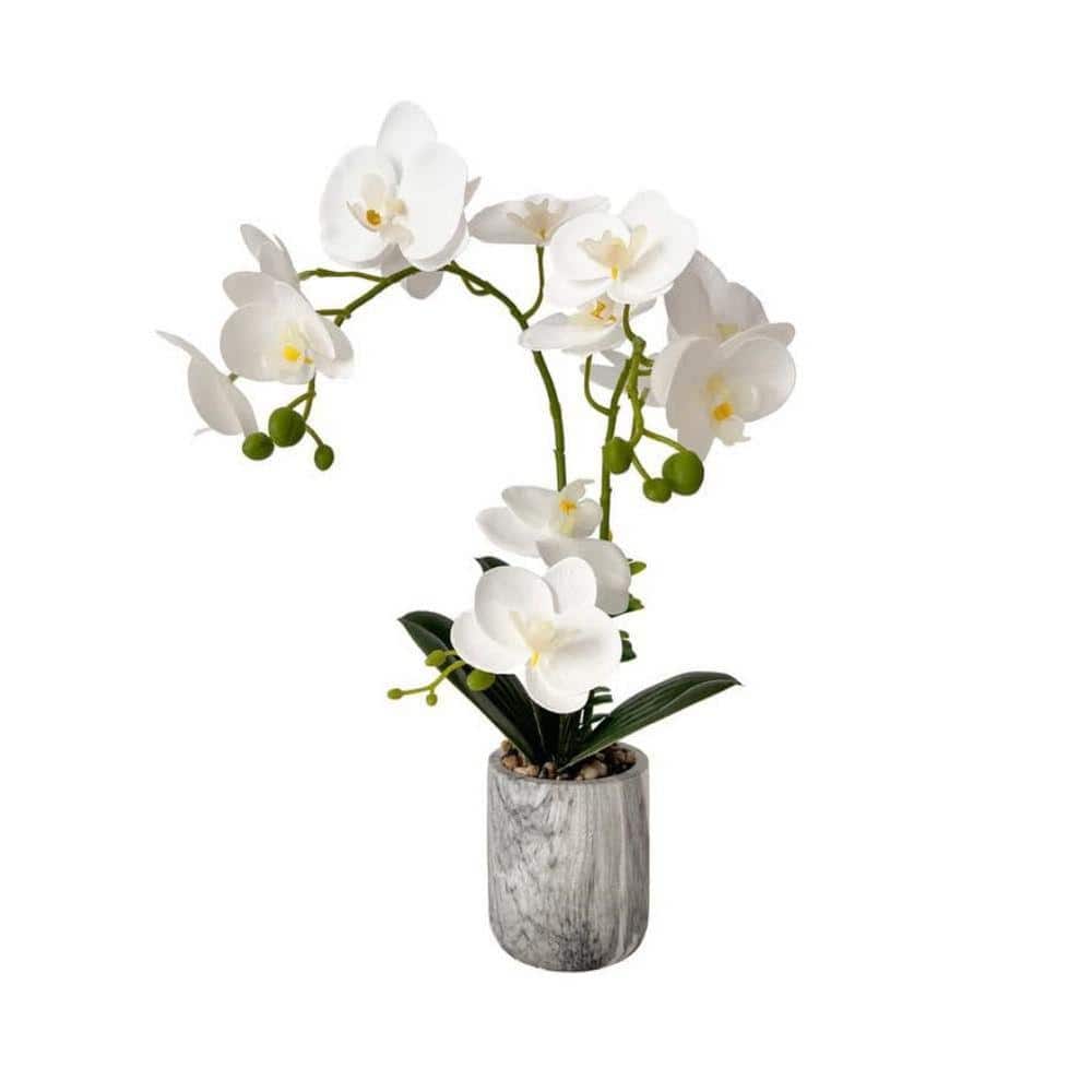 13.5 in. White Indoor Artificial Orchids Flowers in Gray Pot