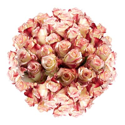 GlobalRose Fresh Pink Roses Bulk (100 Stems)