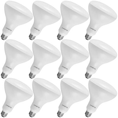 Dimmable Energy Efficient Indoor LED Flood Light Bulb for Cans 5000K Daylight UL & Energy Star E26 Base SunLake Lighting 6 Pack BR40 LED Light Bulb 14W=85W Dimmable Dimmable Energy Efficient Indoor LED Flood Light Bulb for Cans 5000K Daylight UL & Energy Star E26 Base SunLake Lighting 6 Pack BR40 LED Light Bulb 14W=85W Dimmable