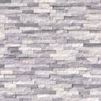 Alaska Gray Splitface 12 in. x 12 in. x 10 mm Textured Marble Mosaic Tile (1 sq. ft.)