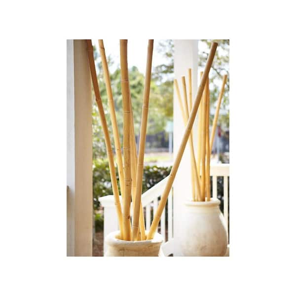 90 in. Natural Bamboo UV-Resistant Water-Resistant Plant Stake (10-Pack)