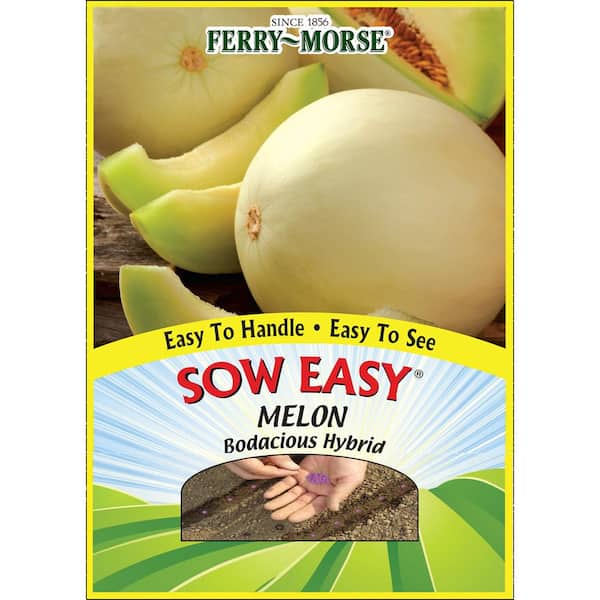 Ferry-Morse Vegetable Melon Bodacious Hybrid SE Seed