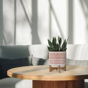 10 in. Orange Ceramic Planter with Wooden Stand