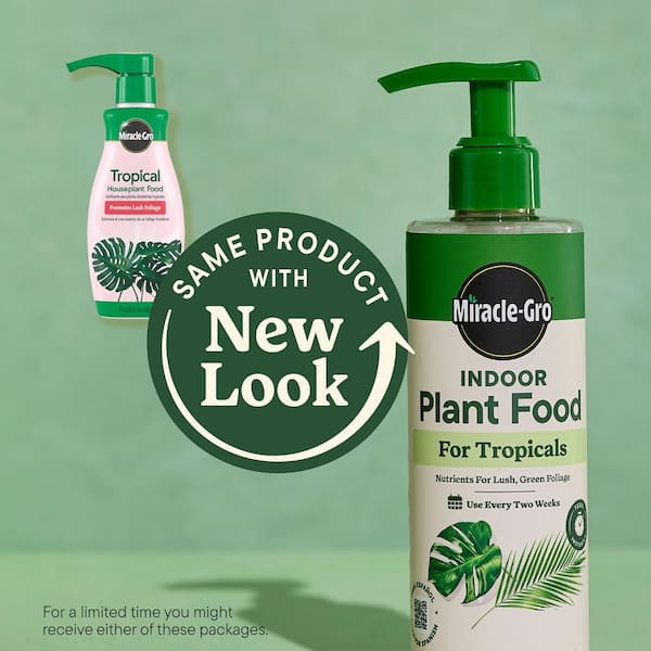 Miracle-Gro Indoor Plant Food for Tropical 8 fl. oz. Liquid Plant Food for  Tropical Houseplants 3421606 - The Home Depot