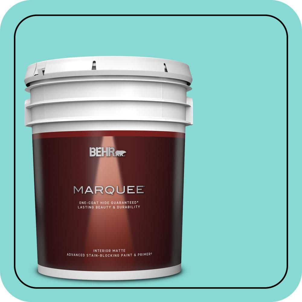 5 gal. #P450-3 Rainwater Matte Interior Paint & Primer price history on PriceWatchPro