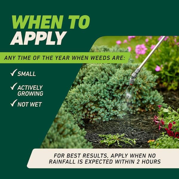 Ortho - GroundClear 32 fl. oz. Weed and Grass Killer2, Concentrate, Weed Killer Quickly Kills Crabgrass, Dandelions, and More