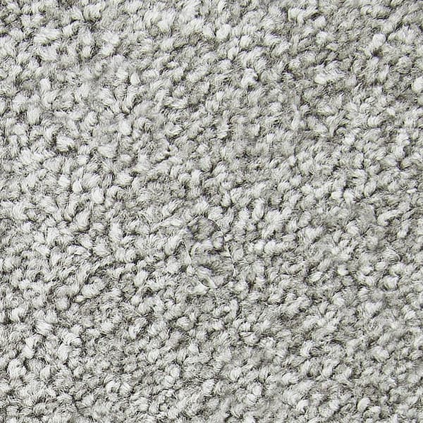 Lifeproof with Petproof Technology 8 in. x 8 in. Texture Carpet Sample - Gentle Peace I -Color Hearthstone
