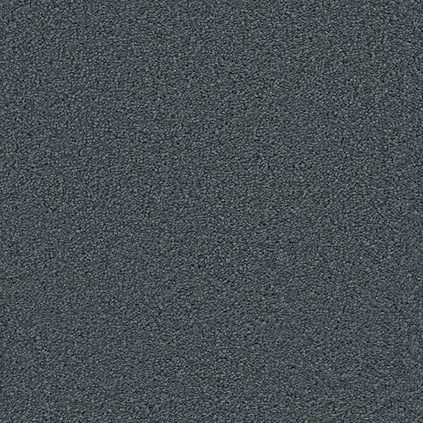 Lifeproof Carpet Sample - Harvest II - Color Hayward Texture 8 in. x 8 in.
