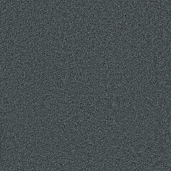 Lifeproof Carpet Sample - Harvest III - Color Hayward Texture 8 in. x 8 in.