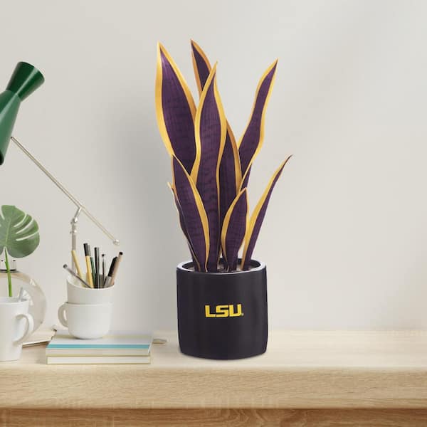 LSU Orchid Plant, LSU Faux Orchid Plant, LSU Gifts for Men, LSU