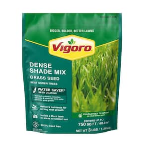 3 lbs. Dense Shade Grass Seed Mix with Water Saver Seed Coating