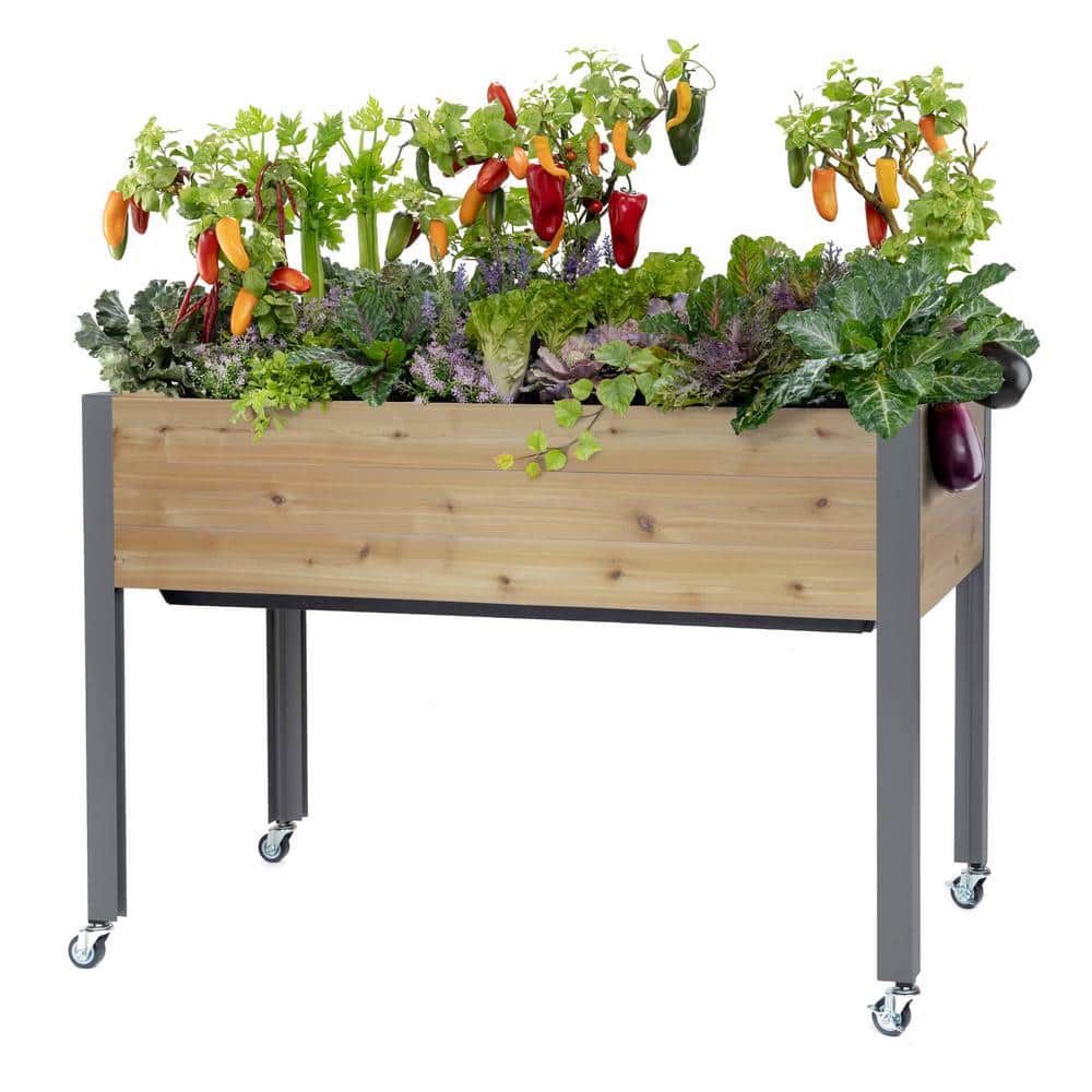 Cedar Self-Watering Elevated Garden Planter with Wheels