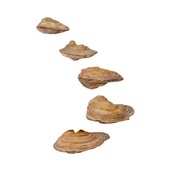 Brown/Tan 9 in. x 6 in. Resin Handcrafted Mushroom Wall Hanging (Set of 5)