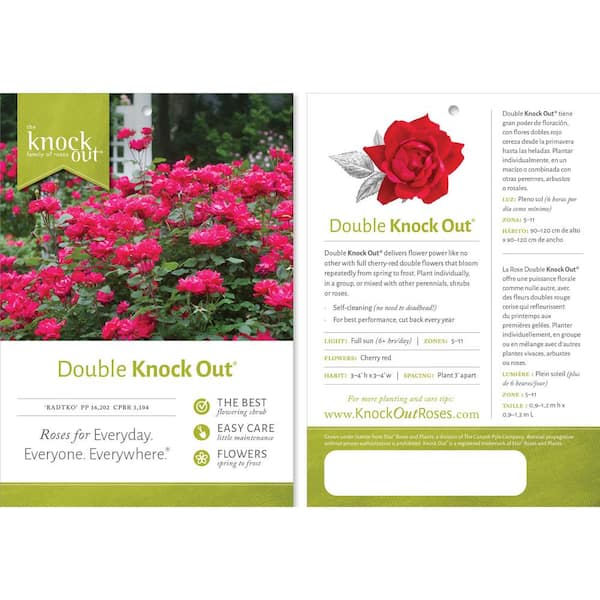 3 Gal. Red Double Knock Out Rose Bush with Red Flowers in Grower Container