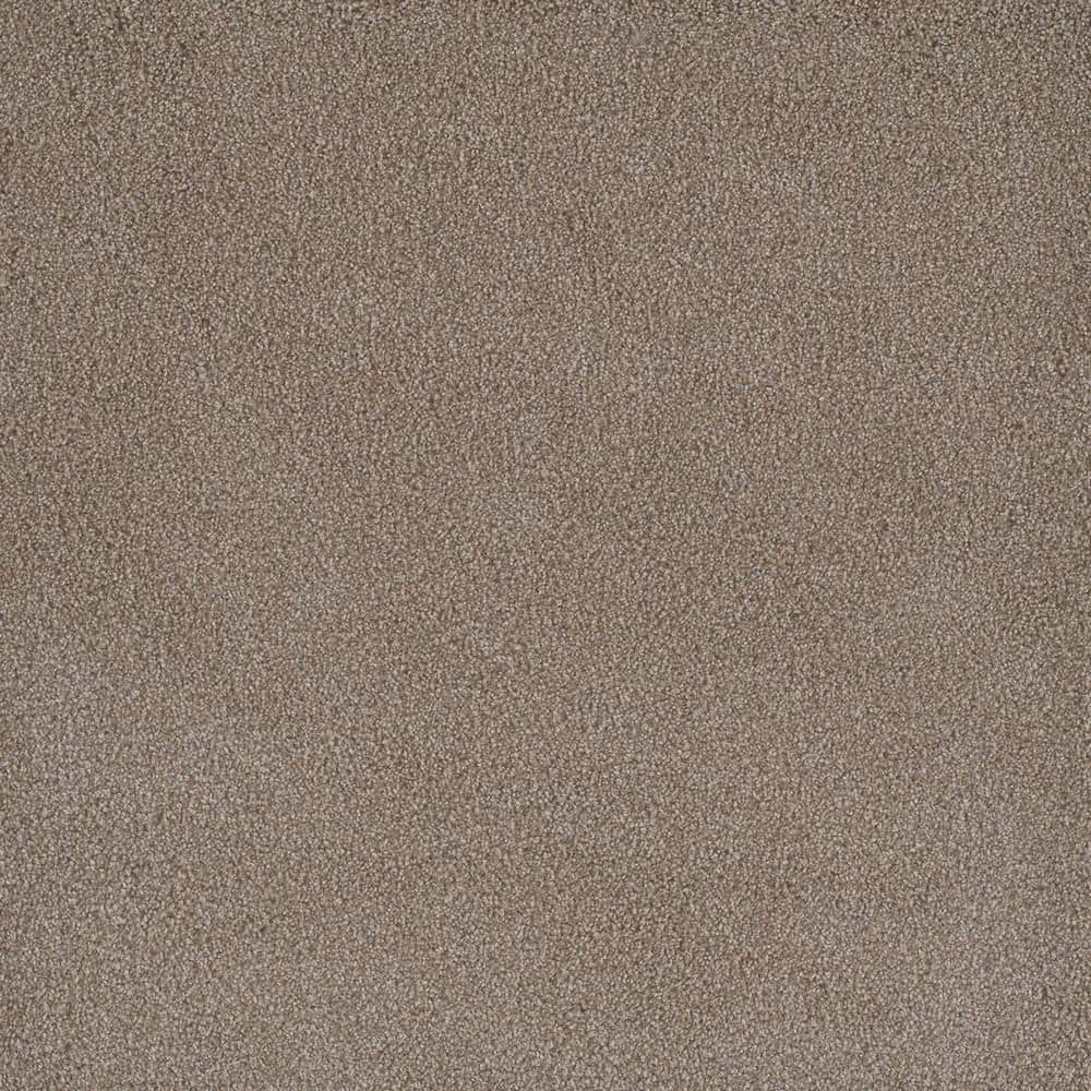 8 in. x 8 in. Texture Carpet Sample - First Class II -Color Newberry price history on PriceWatchPro