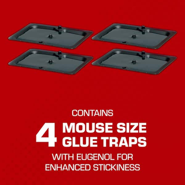 Glue Traps Mouse Size with Eugenol for Enhanced Stickiness, Mouse, Cockroach, and Spider Glue Traps (4-Pack)