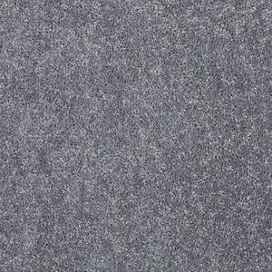 8 in. x 8 in. Texture Carpet Sample - Alpine - Color Brushed Nickel
