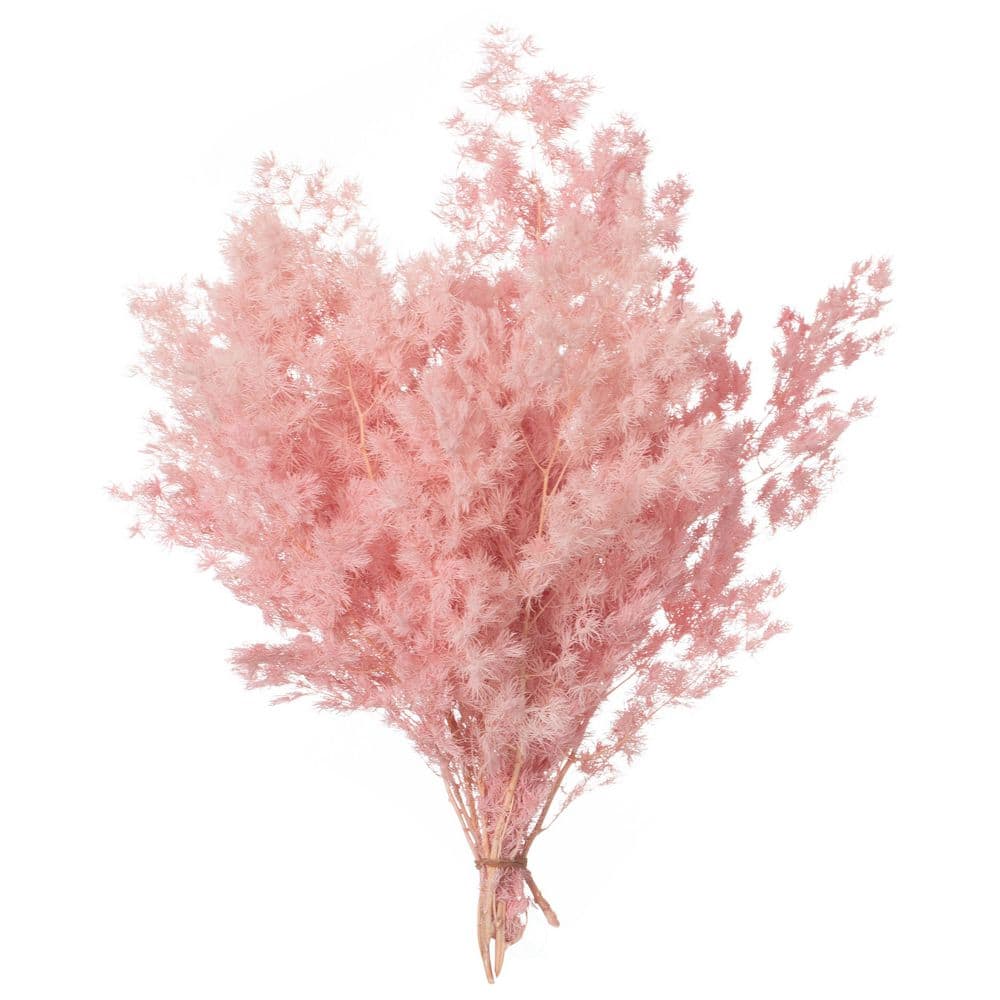 "19"" Peng Lai Song Real Floral Stem Chic Vase Filler & Accent for Bouquet Light Sakura Pink (Set of 2 Bunches)" price history on PriceWatchPro