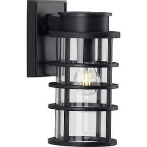 Port Royal Collection 1-Light Textured Black Clear Glass Farmhouse Outdoor Wall Lantern Light