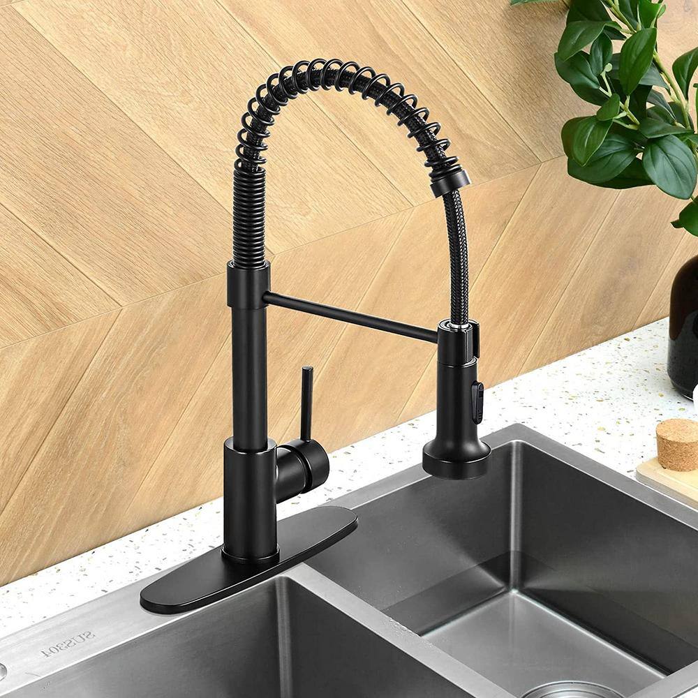 Matte Black Stainless Steel Pull-Down Kitchen Faucet with Spray