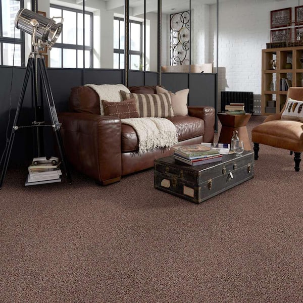 Charming - Coffee Bean - Brown 24 oz. Polyester Twist Installed Carpet
